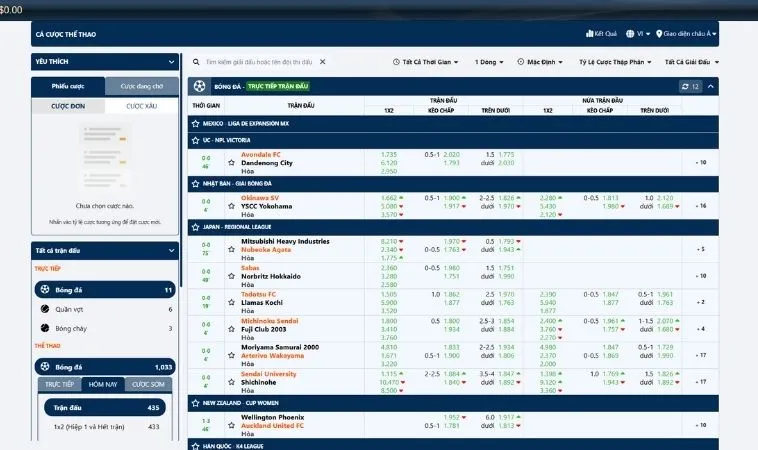 Hướng Dẫn Chi Tiết Tìm Hiểu Cá Cược Bóng Đá 88Goals Cực Kỳ Hiệu Quả 2 Các tỷ lệ kèo bóng đá 88Goals hấp dẫn