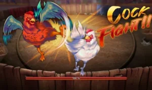 Đá Gà 3D Tại 88Goals