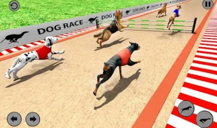 Bí Kíp Cách Chơi Game Nhanh Đua Chó Tại 88Goals Trăm Trận Trăm Thắng 2 Giao diện chơi game nhanh Đua Chó Tại 88Goals