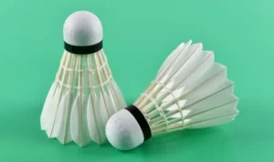 Cầu Lông Tại 88Goals