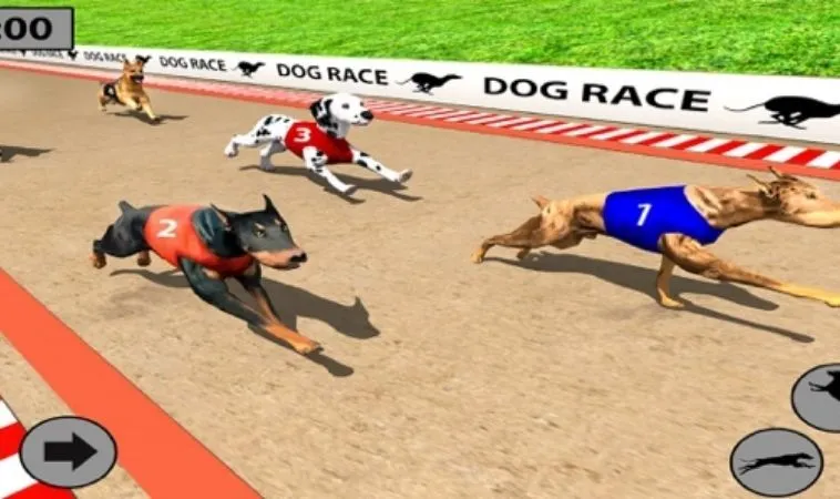 Bí Kíp Cách Chơi Game Nhanh Đua Chó Tại 88Goals Trăm Trận Trăm Thắng 1 Đua Chó Tại 88Goals