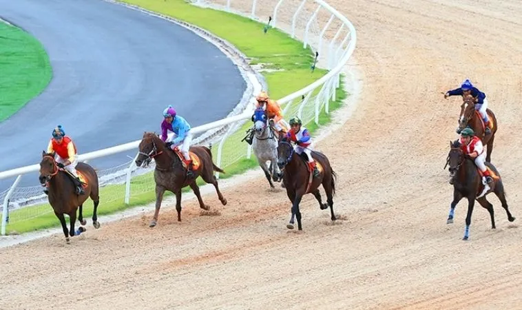 Kinh Nghiệm Vàng Tìm Hiểu Cá Cược Đua Ngựa 88Goals Chắc Thắng Mọi Giải 2 Cần tìm hiểu về bộ môn đua ngựa 88Goals trước khi cá cược