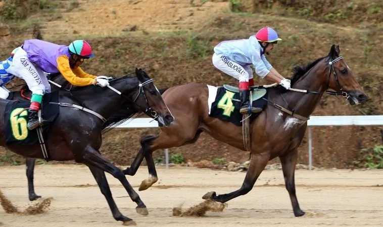 Kinh Nghiệm Vàng Tìm Hiểu Cá Cược Đua Ngựa 88Goals Chắc Thắng Mọi Giải 1 đua ngựa 88Goals